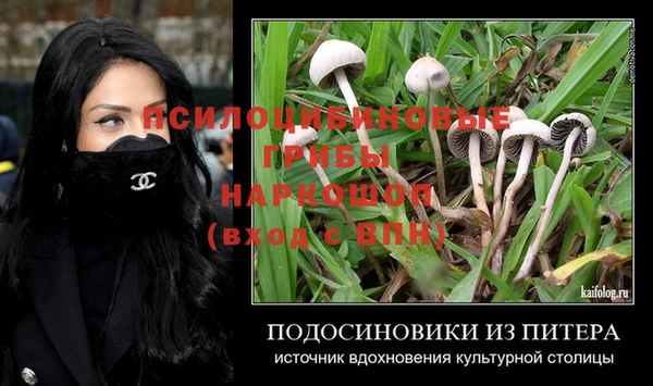 ПСИЛОЦИБИНОВЫЕ ГРИБЫ Краснослободск