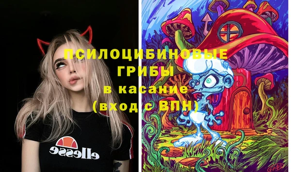 ПСИЛОЦИБИНОВЫЕ ГРИБЫ Краснослободск