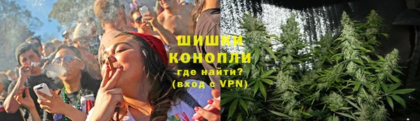 ПСИЛОЦИБИНОВЫЕ ГРИБЫ Краснослободск