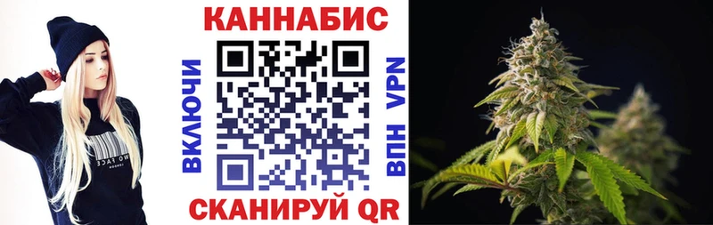где найти   Михайлов  Конопля планчик 